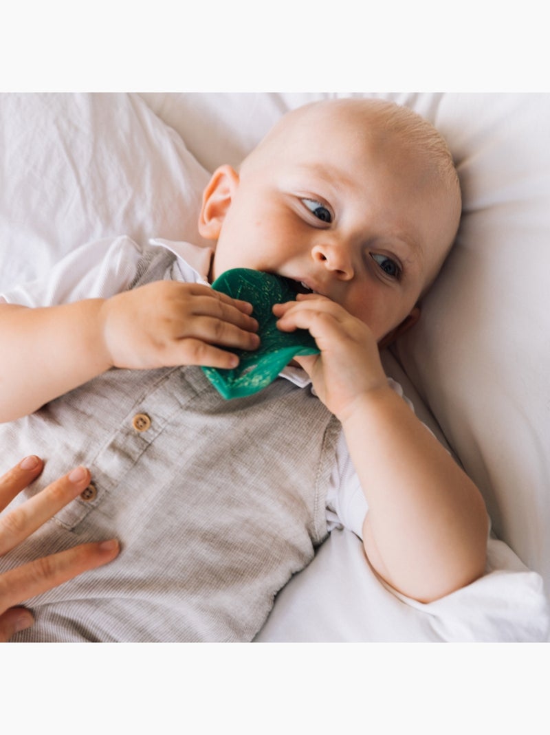 Oli & Carol - Feuille de Chlorophylle Vert - Kiabi