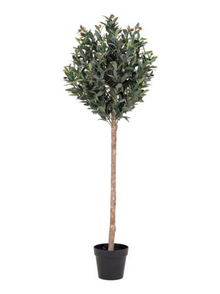 Olivier artificiel 150 cm - House Nordic