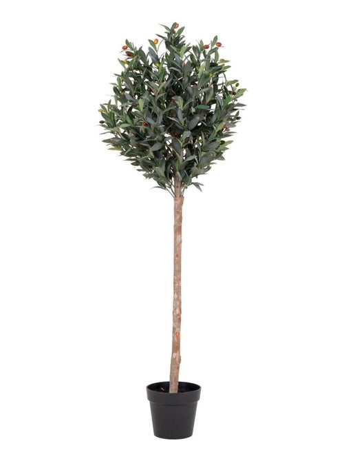 Olivier artificiel 150 cm - House Nordic - Kiabi