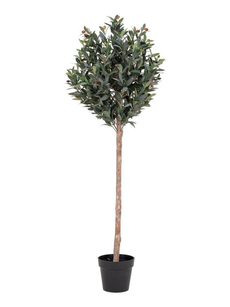 Olivier artificiel 150 cm - House Nordic Vert - Kiabi