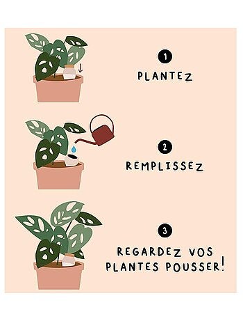 Olla Pépin en terre cuite