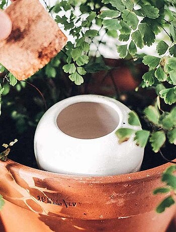 Olla Pépin en terre cuite