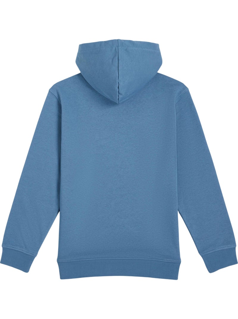 O´Neill - Sweat à capuche style Graphique Bleu ciel - Kiabi