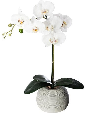 Orchidée artificielle décorative