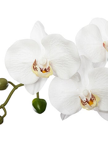 Orchidée artificielle décorative