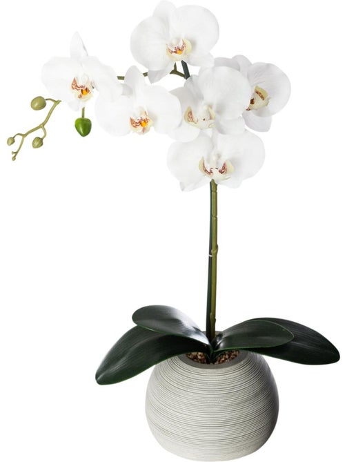 Orchidée artificielle décorative - Kiabi