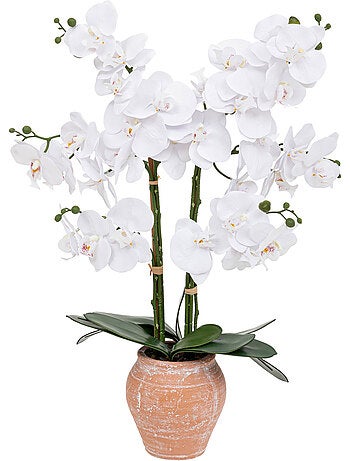 Orchidée artificielle DENA