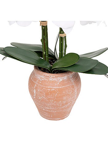 Orchidée artificielle DENA