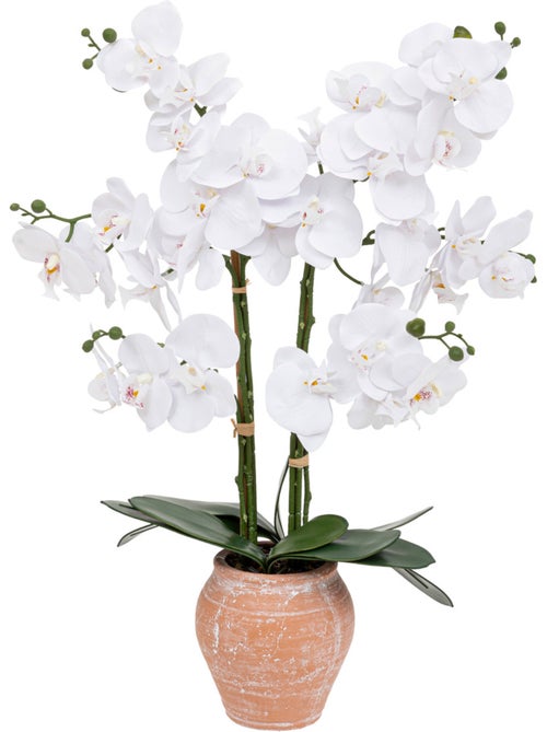 Orchidée artificielle DENA - Kiabi