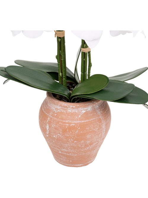 Orchidée artificielle DENA - Kiabi