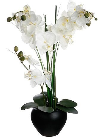 Orchidée artificielle orchidee