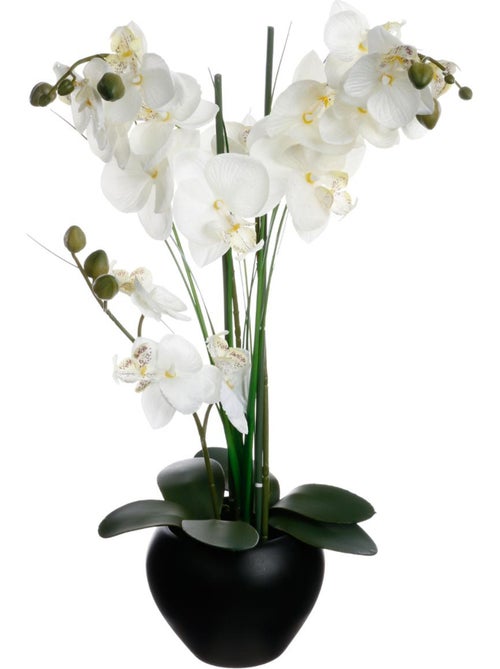 Orchidée artificielle en pot brillant avec cailloux décoratifs - Kiabi
