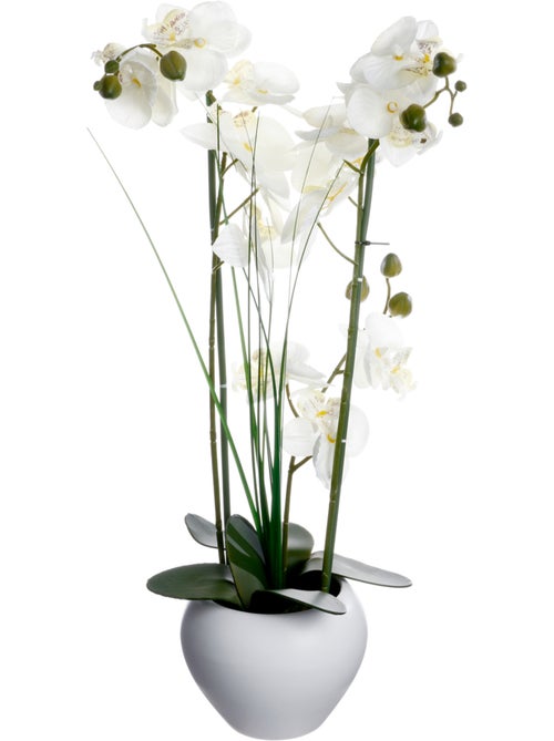 Orchidée artificielle ORCHIDEE - Kiabi
