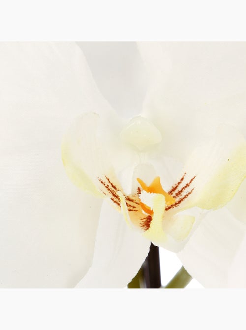 Orchidée artificielle ORCHIDEE - Kiabi
