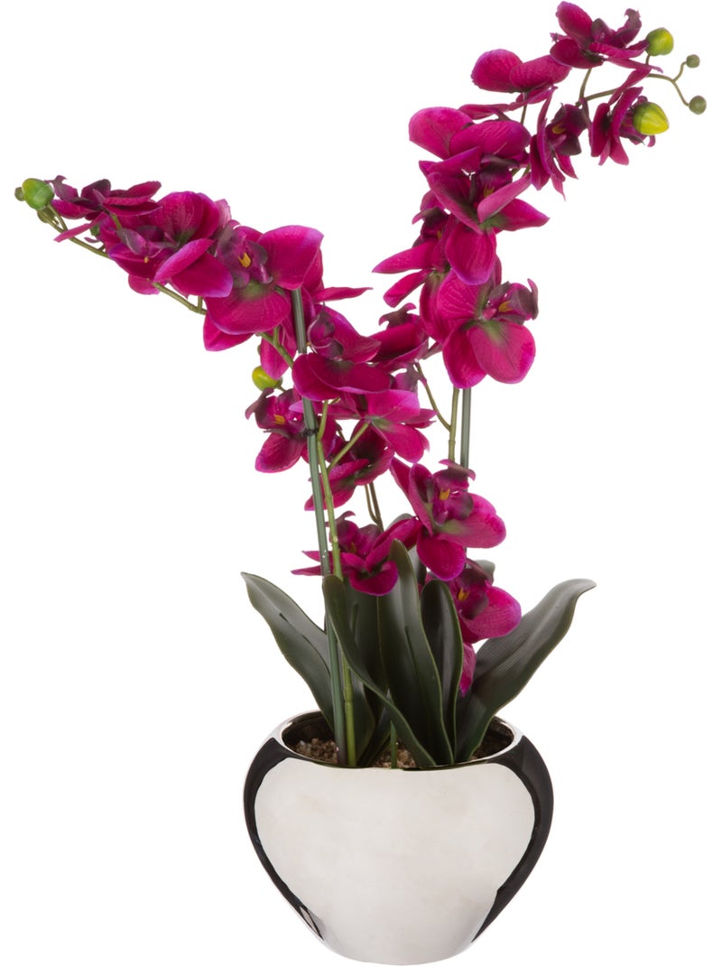 Orchidée artificielle ORCHIDEE Blanc - Kiabi