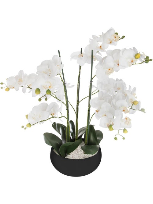 Orchidée artificielle ORCHIDEE - Kiabi