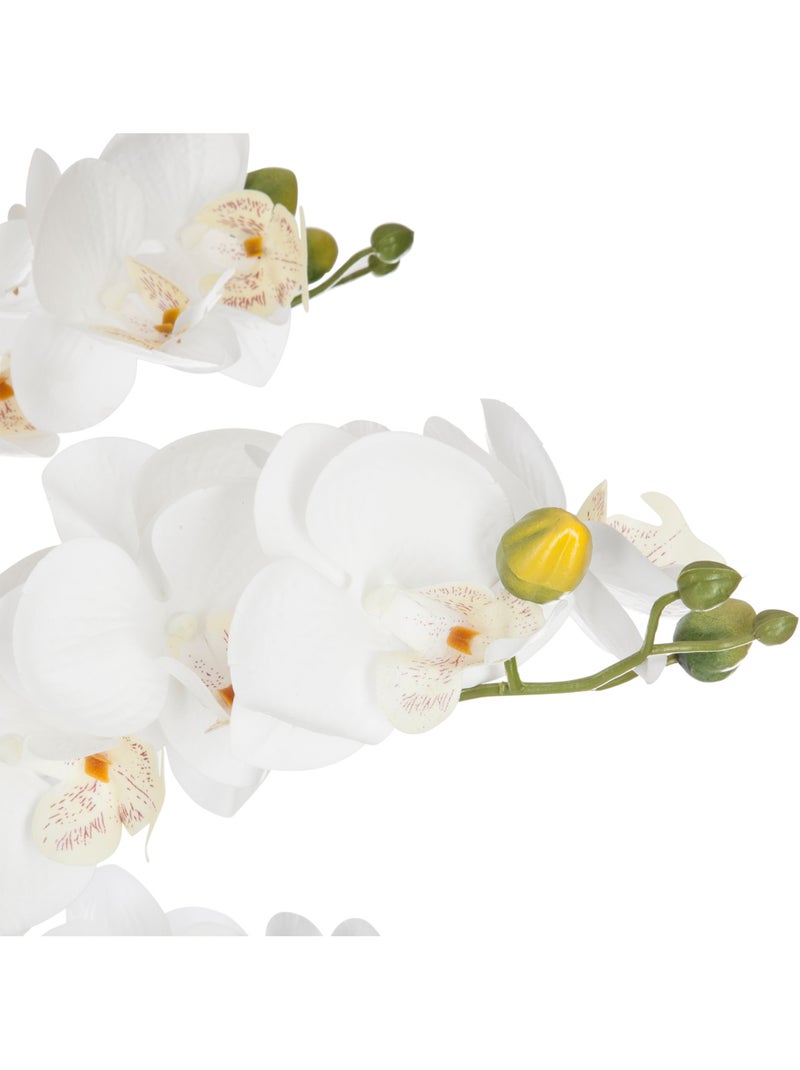 Orchidée artificielle ORCHIDEE Noir - Kiabi