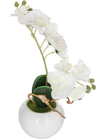 Orchidée artificielle ORCHIDEE