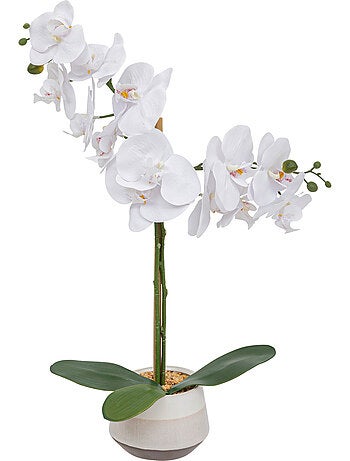 Orchidée artificielle pot en céramique clera
