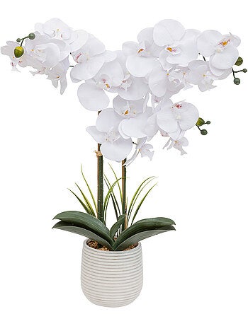 Orchidée artificielle RIVA