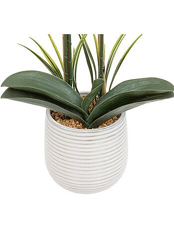 Orchidée artificielle RIVA