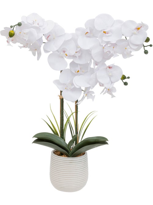 Orchidée artificielle RIVA - Kiabi