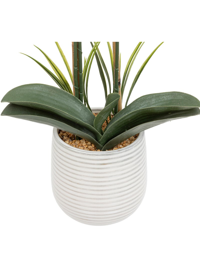 Orchidée artificielle RIVA Blanc - Kiabi