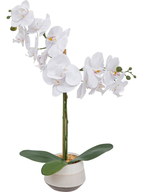 Orchidée artificielleclERA - Kiabi