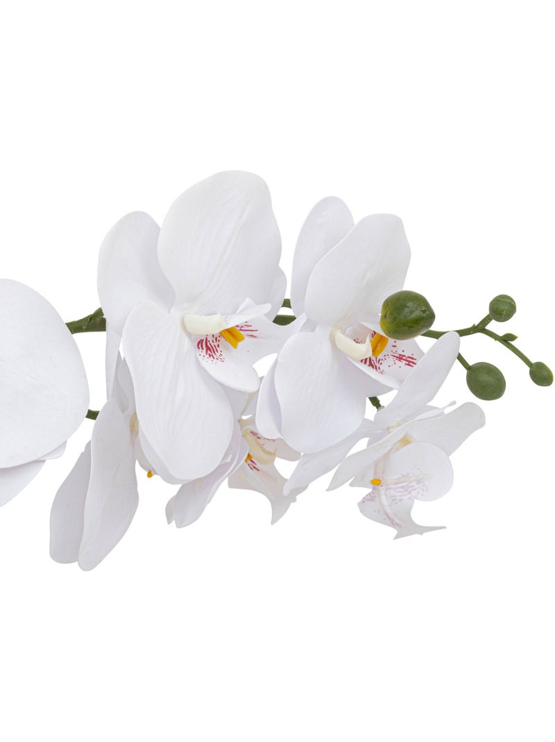 Orchidée artificielleclERA Blanc - Kiabi