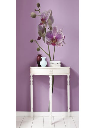 Orchidee, Sticker murale - 100x70 cm