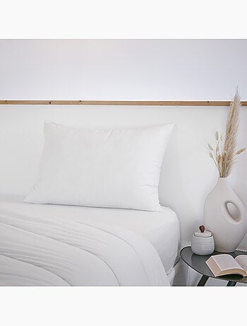 Oreiller 100% coton - Anti acariens - Sirius