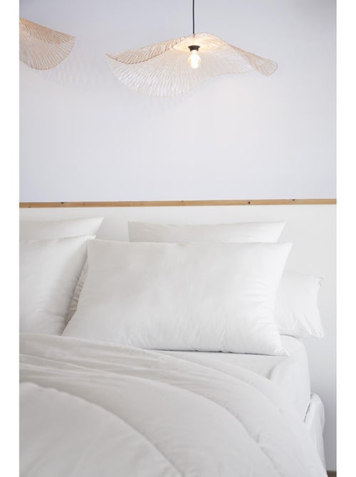 Oreiller 100% coton - Anti acariens - Sirius - Kiabi Oreiller 100% coton - Anti acariens - Sirius - Kiabi