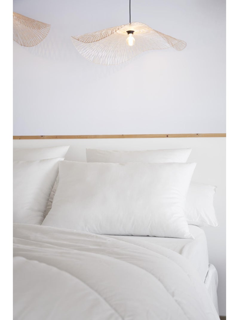 Oreiller 100% coton - Anti acariens - Sirius Blanc - Kiabi