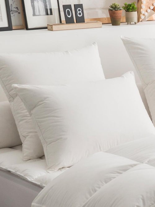 Oreiller 50% Duvet ECO-RESPONSABLE FERME - DODO - Kiabi Oreiller 50% Duvet ECO-RESPONSABLE FERME - DODO - Kiabi