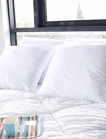 Oreiller antiacariens (lot de 2)