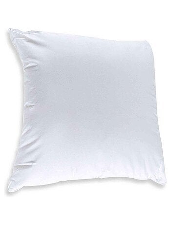 Oreiller antiacariens (lot de 2)