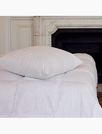 Oreiller en plumettes et duvet