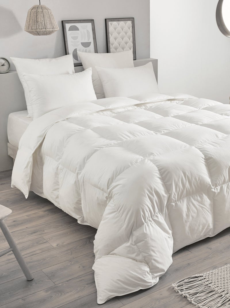 Oreiller en plumettes et duvet Blanc - Kiabi