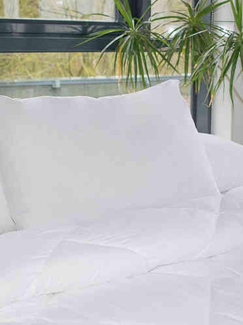 Oreiller grand confort - Kiabi Oreiller grand confort - Kiabi