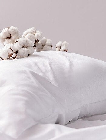Oreiller moelleux coton percale 60x60 cm
