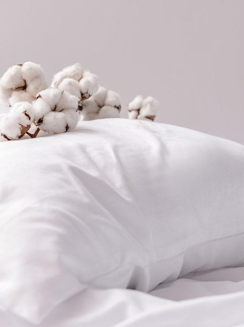 Oreiller moelleux coton percale 60x60 cm - Kiabi Oreiller moelleux coton percale 60x60 cm - Kiabi