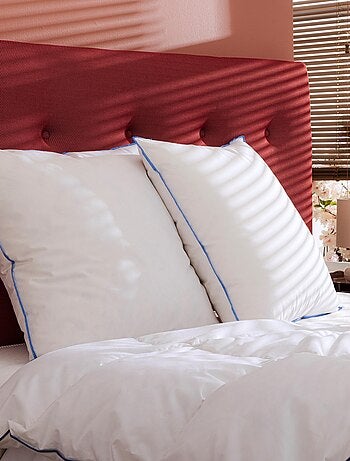 Oreiller moelleux duvet (lot de 2)
