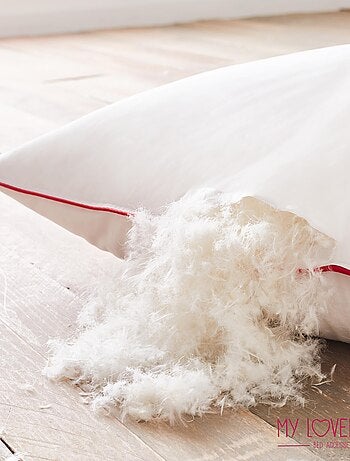 Oreiller Naturel - Garnissage Plume et Duvet - Enveloppe 100% Coton - Gonflant et Moelleux