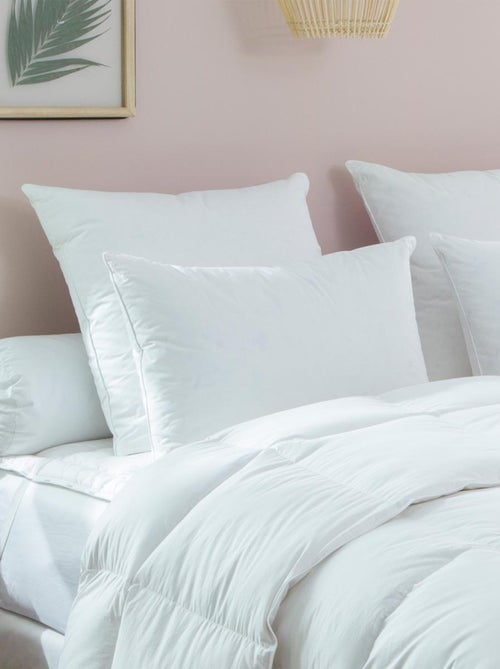 Oreiller naturel 70% duvet de Canard - DODO - Kiabi Oreiller naturel 70% duvet de Canard - DODO - Kiabi