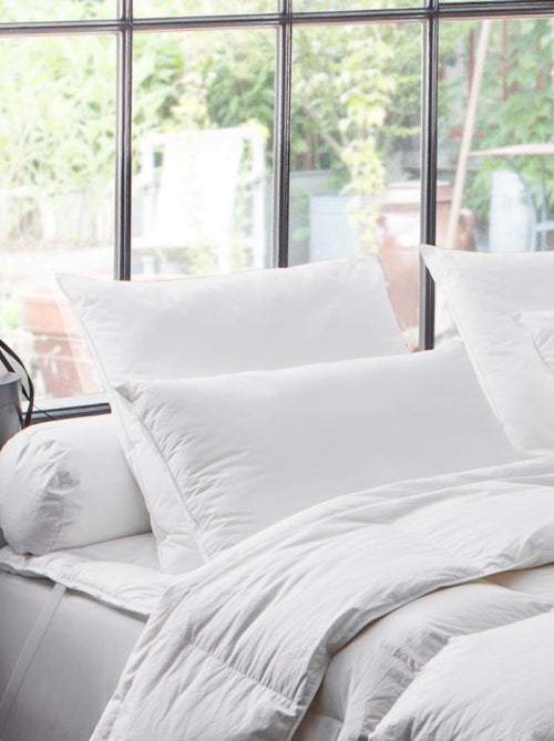 Oreiller naturel 90% duvet de Canard - DODO - Kiabi Oreiller naturel 90% duvet de Canard - DODO - Kiabi