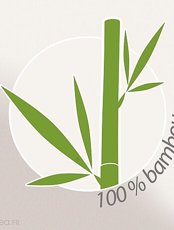 Oreiller PILO Visco-végétal à mémoire de forme Ergonomique