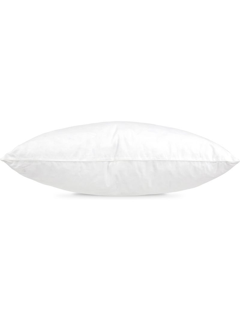 Oreiller plumes de Canard GRIZZ'LIT Carré Plumes de canard Blanc - Kiabi
