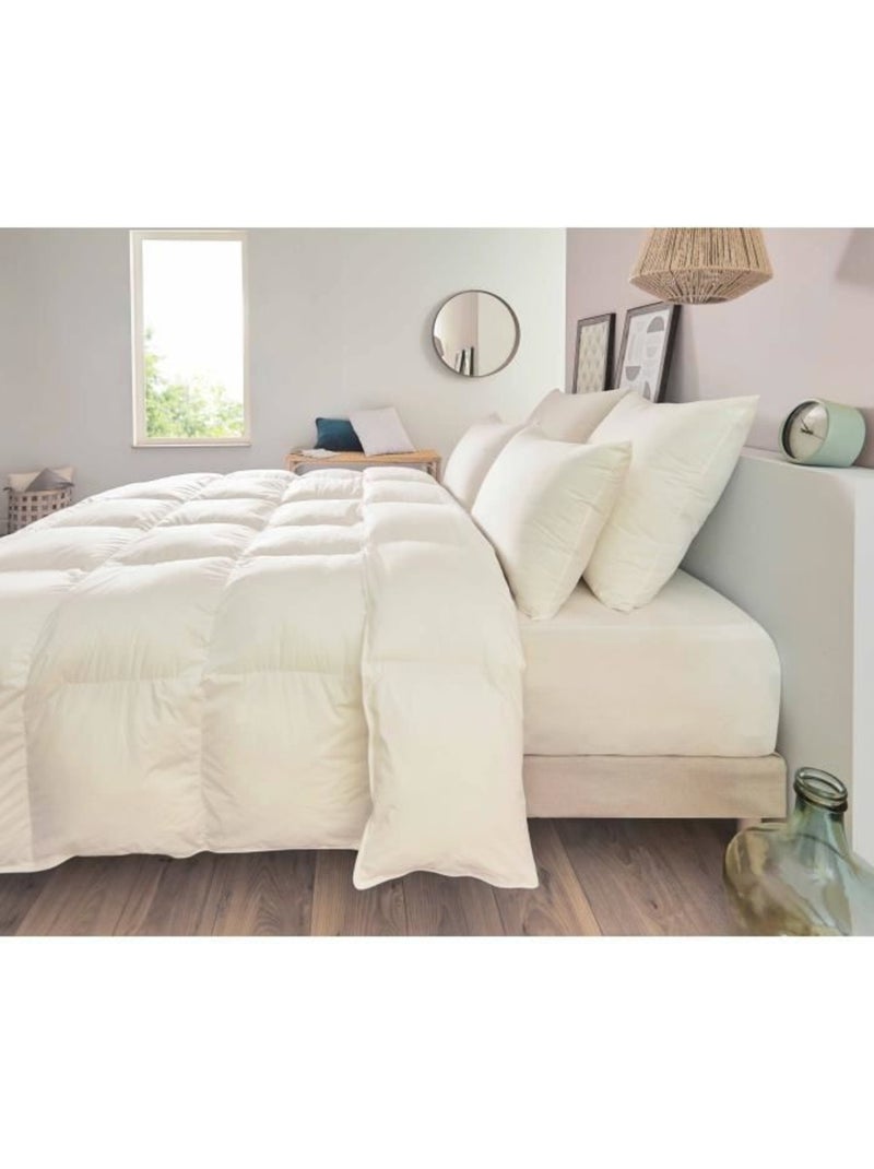 Oreiller Rectangle Percale Traité ULTRAFRESH Blanc - Kiabi