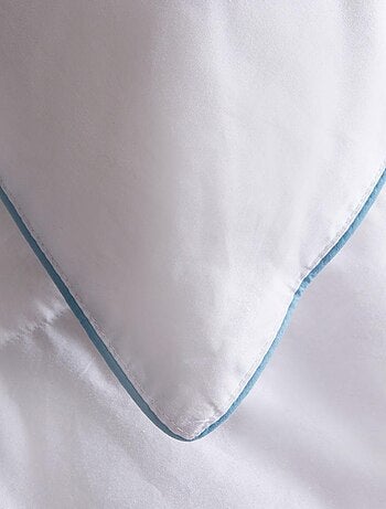 Oreiller Recycl'Duv - 30% Duvet - Medium - DUNLOPILLO