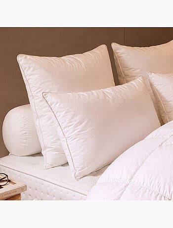 Oreiller thermoduv canard - 90% duvet - medium - dodo